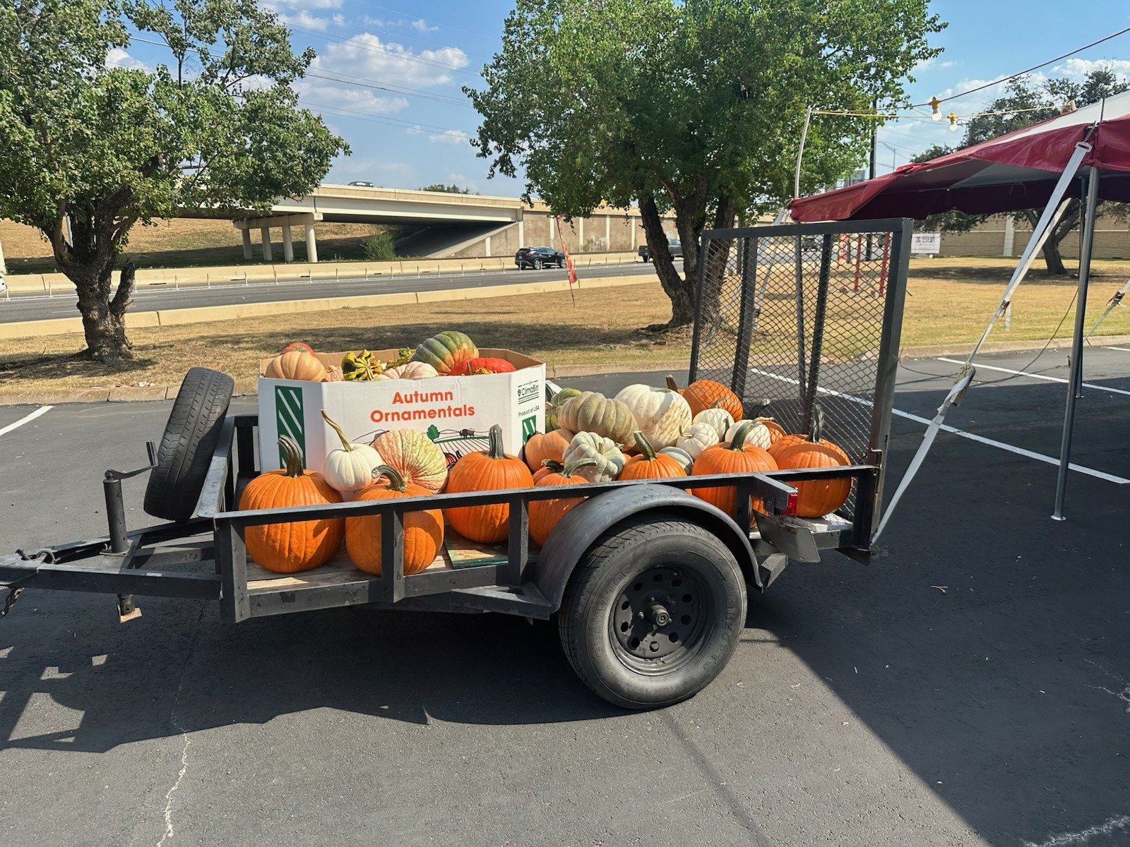 A Longhorn Pumpkins delivery trailer loaded with pumpkins