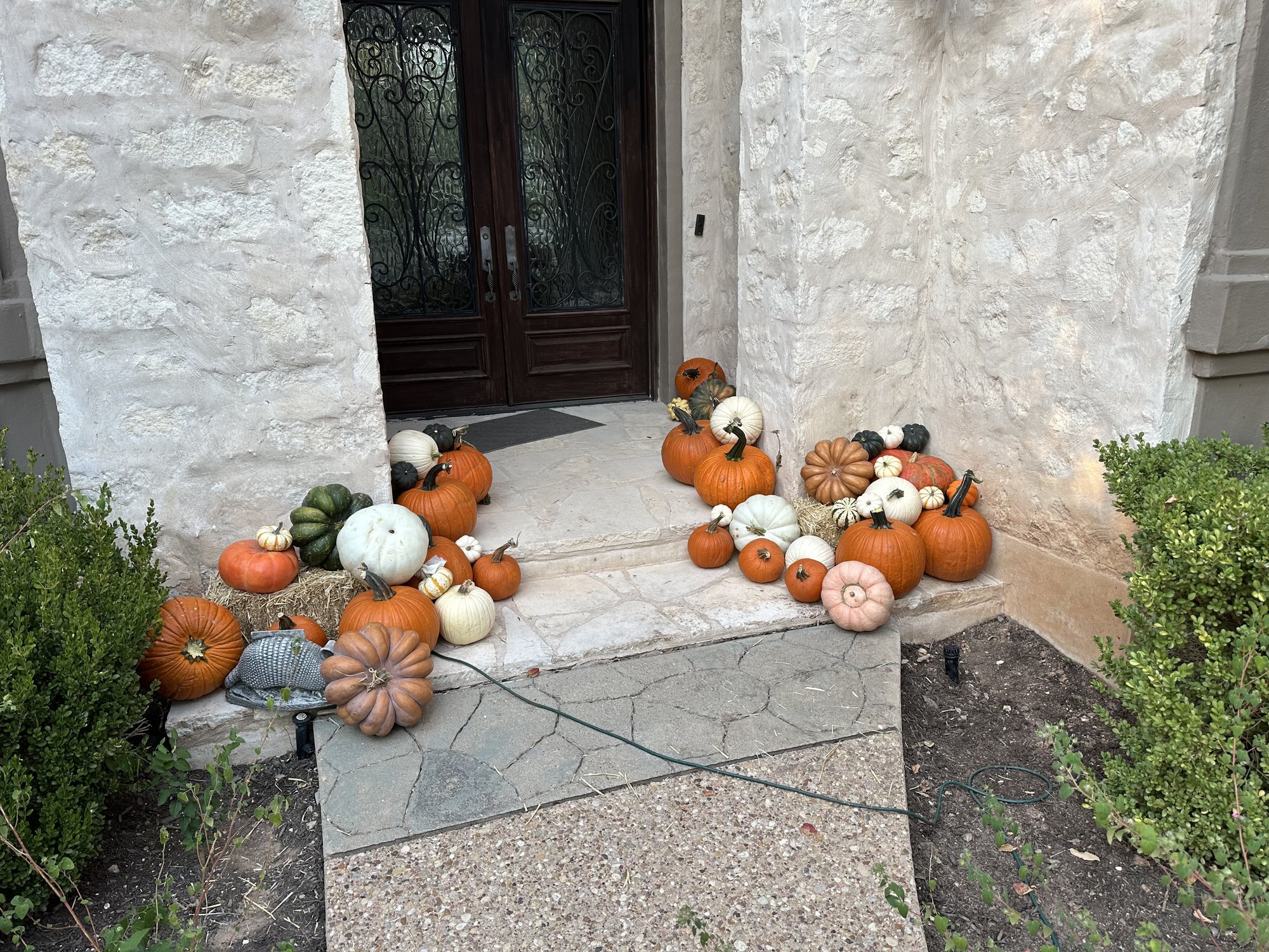 An abundant display of orange, white, and heirloom pumpkins across the limestone front steps of an Austin home